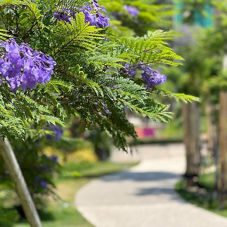 ゲストハウスあさひ Atami  Eksteriør billede